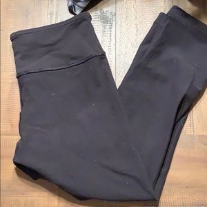 Black wunder under crop